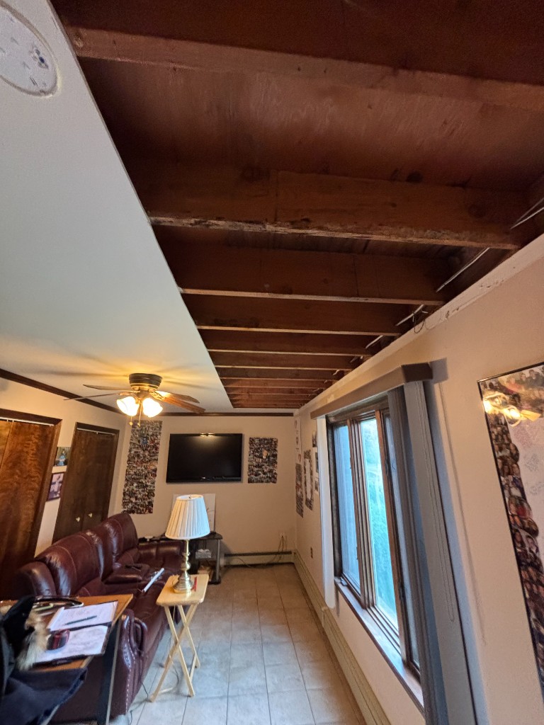 Ceiling work in progress
