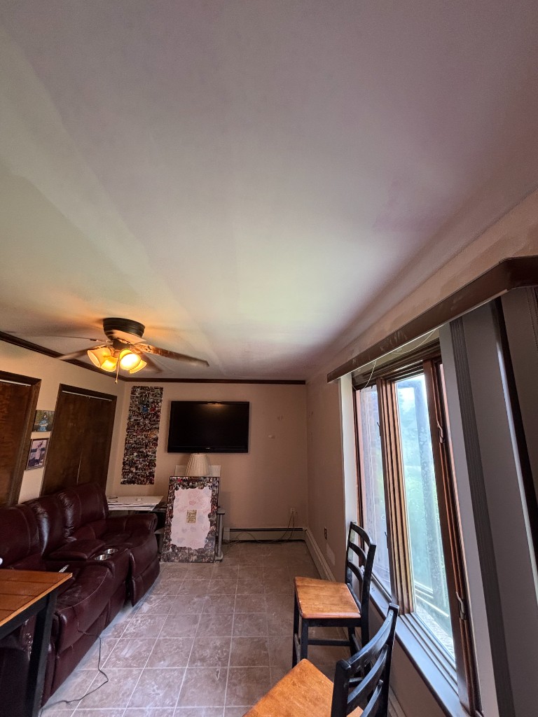 Living room ceiling work