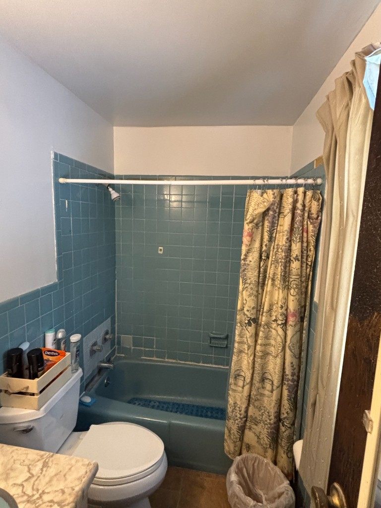 Before — blue tiled tub and toilet